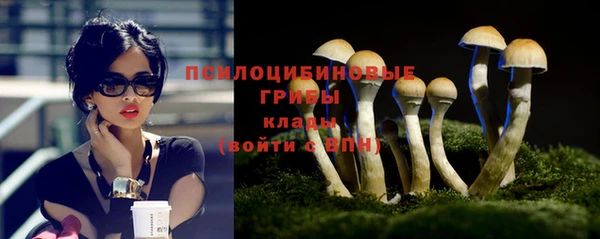тгк Абинск