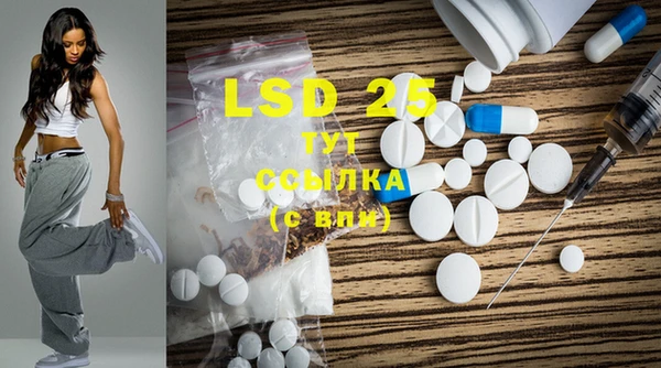 PSILOCYBIN Абаза