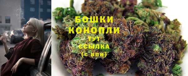 PSILOCYBIN Абаза