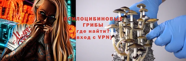 PSILOCYBIN Абаза