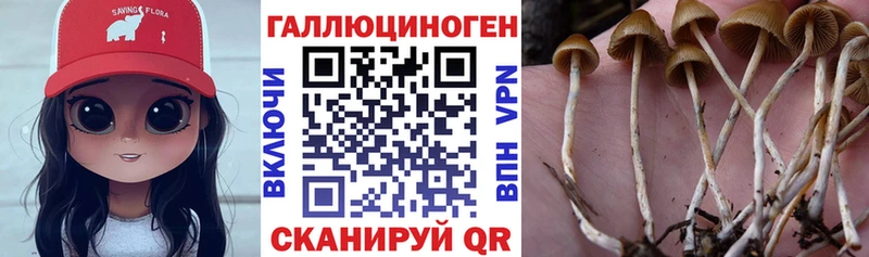 Псилоцибиновые грибы ЛСД  что такое   Задонск 